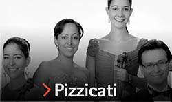 Pizzicatiweb2
